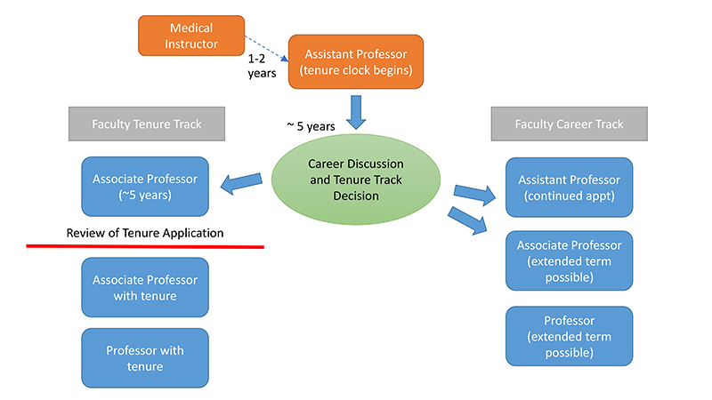 Chart - 2020 Clinical Sciences APT Guidelines